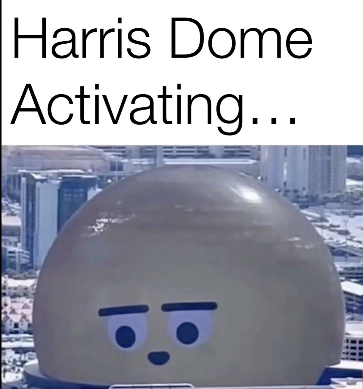 Harris Dome Activating artwork